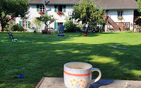 Sachserhof Ferienwohnungen In Sachsenburg