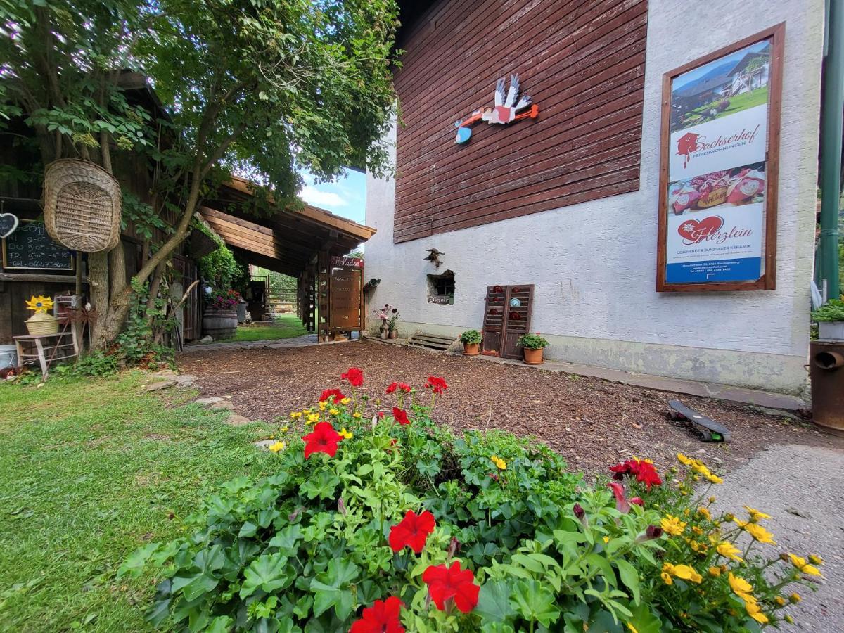 Sachserhof Ferienwohnungen In Sachsenburg Buitenkant foto