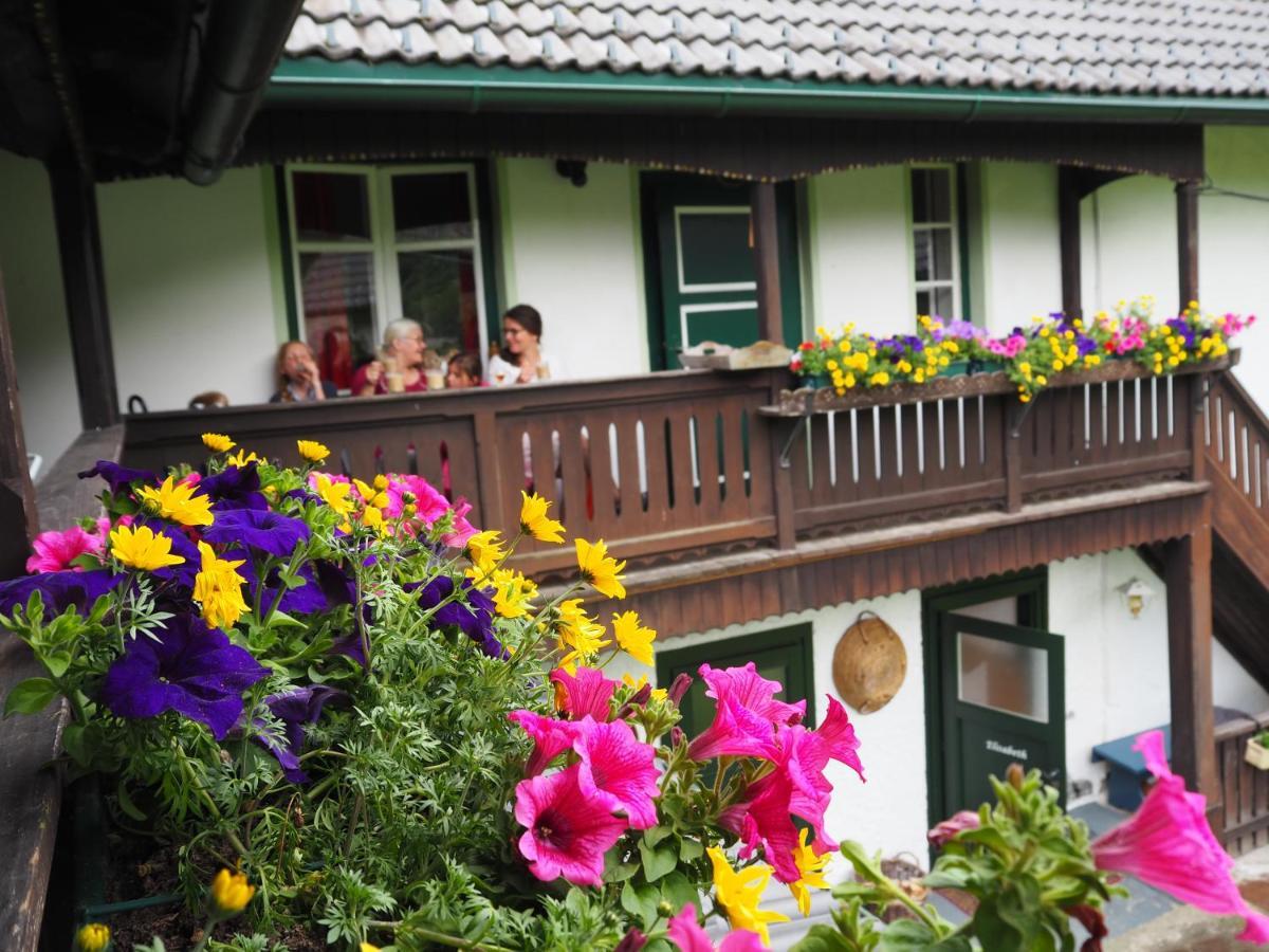 Sachserhof Ferienwohnungen In Sachsenburg Buitenkant foto