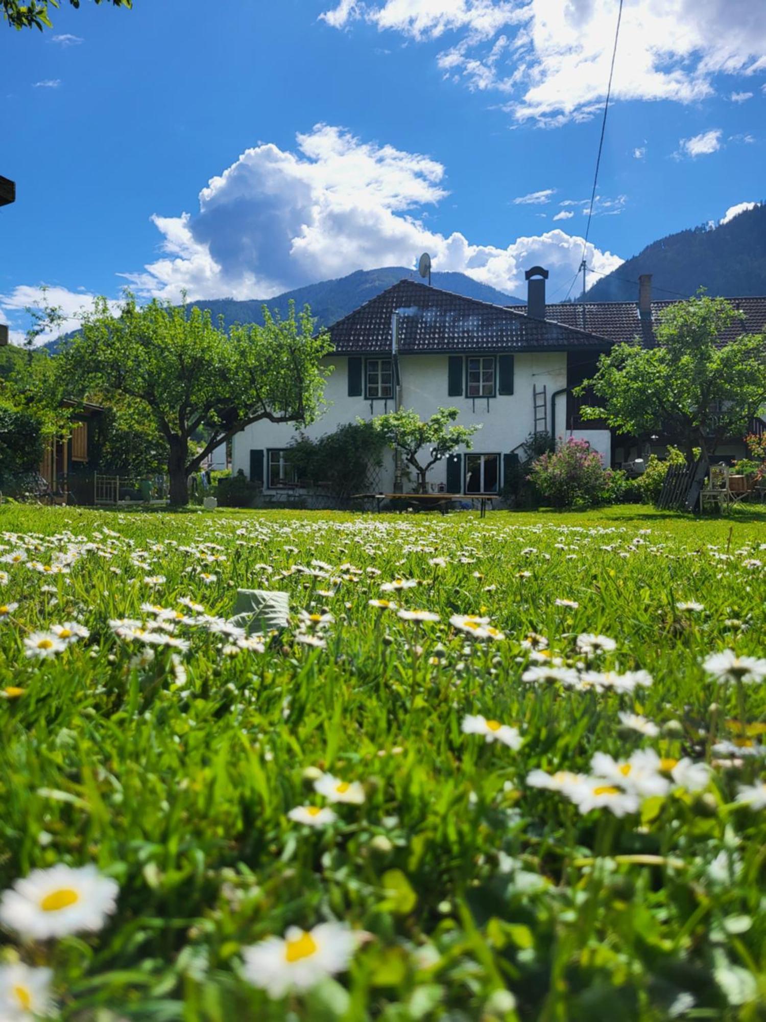 Sachserhof Ferienwohnungen In Sachsenburg Buitenkant foto